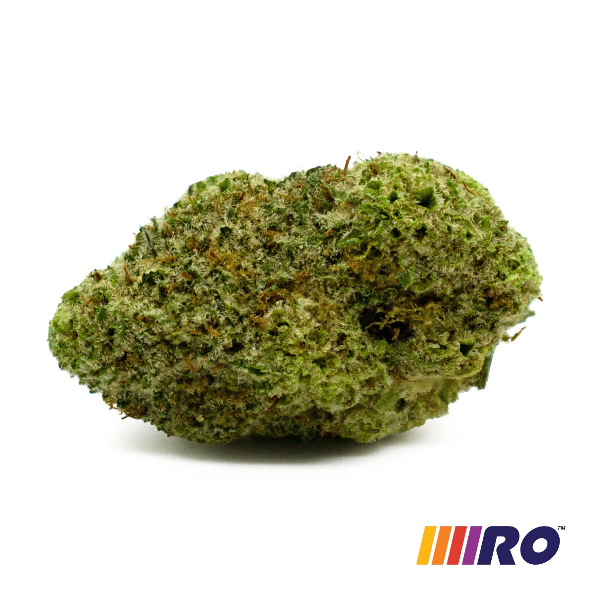 Lilac Diesel Flower
