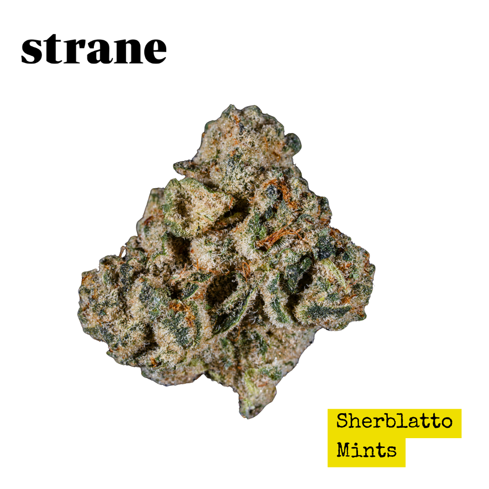 Sherblatto Mints - Whole Flower 3.5G