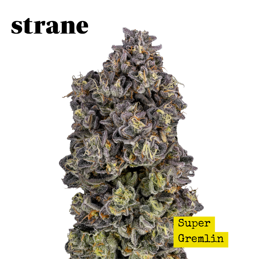 Super Gremlin - Whole Flower 3.5G