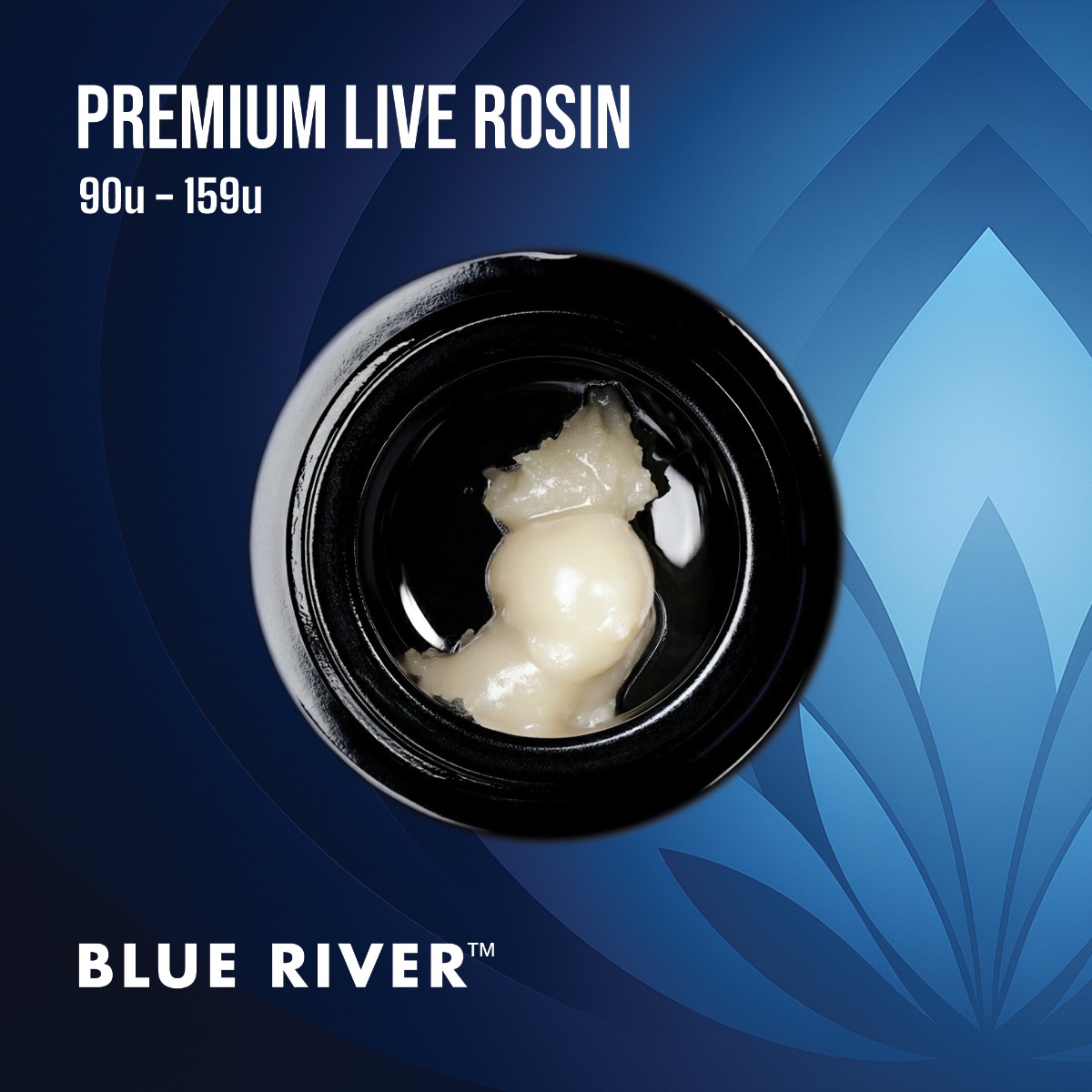 Image of Cake Face Live Rosin