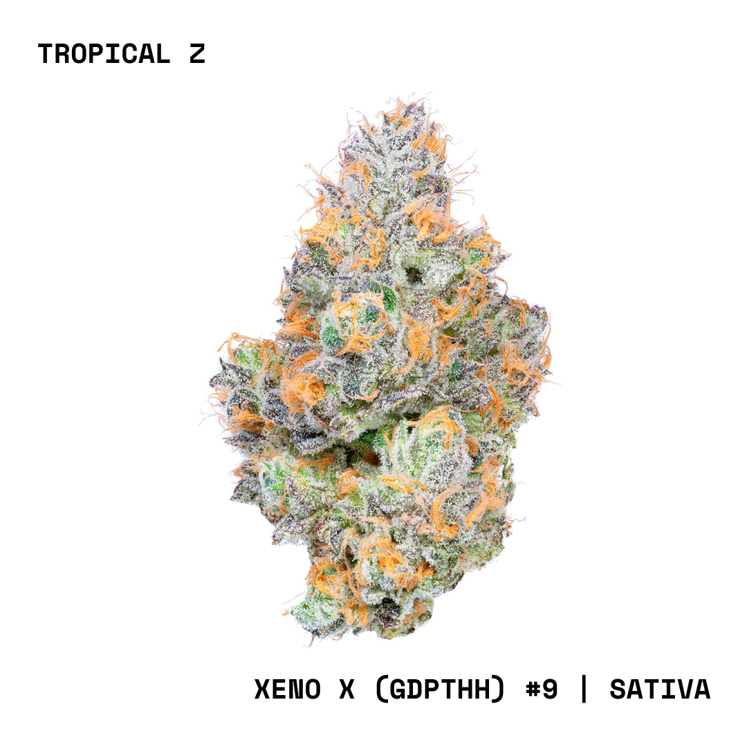 Shop CNC-FLOWER-3.5G-TROPICALZ-S-FL Online | Trulieve