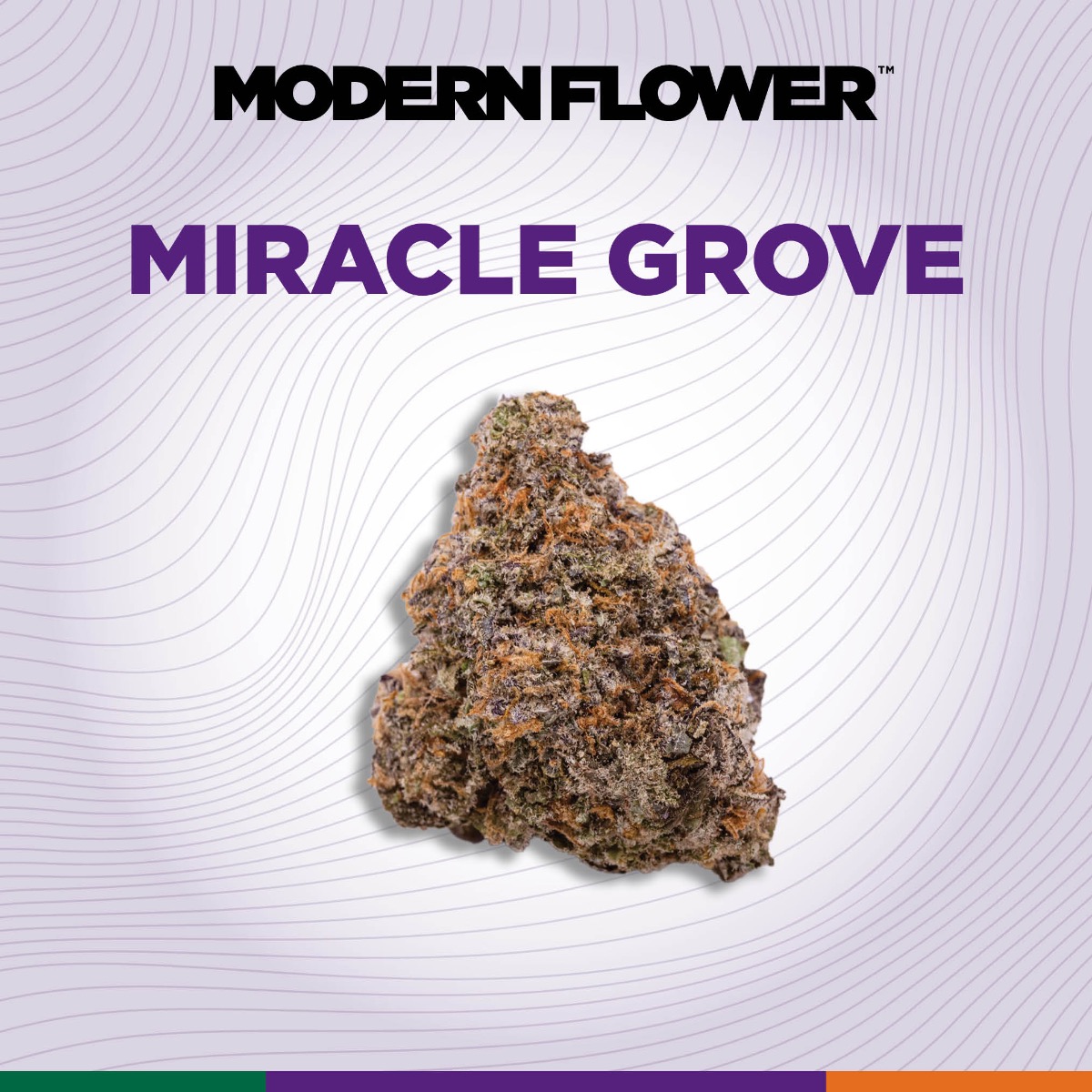 Shop MF-Flower-7g-MiracleGrove-I-WV Online | Trulieve
