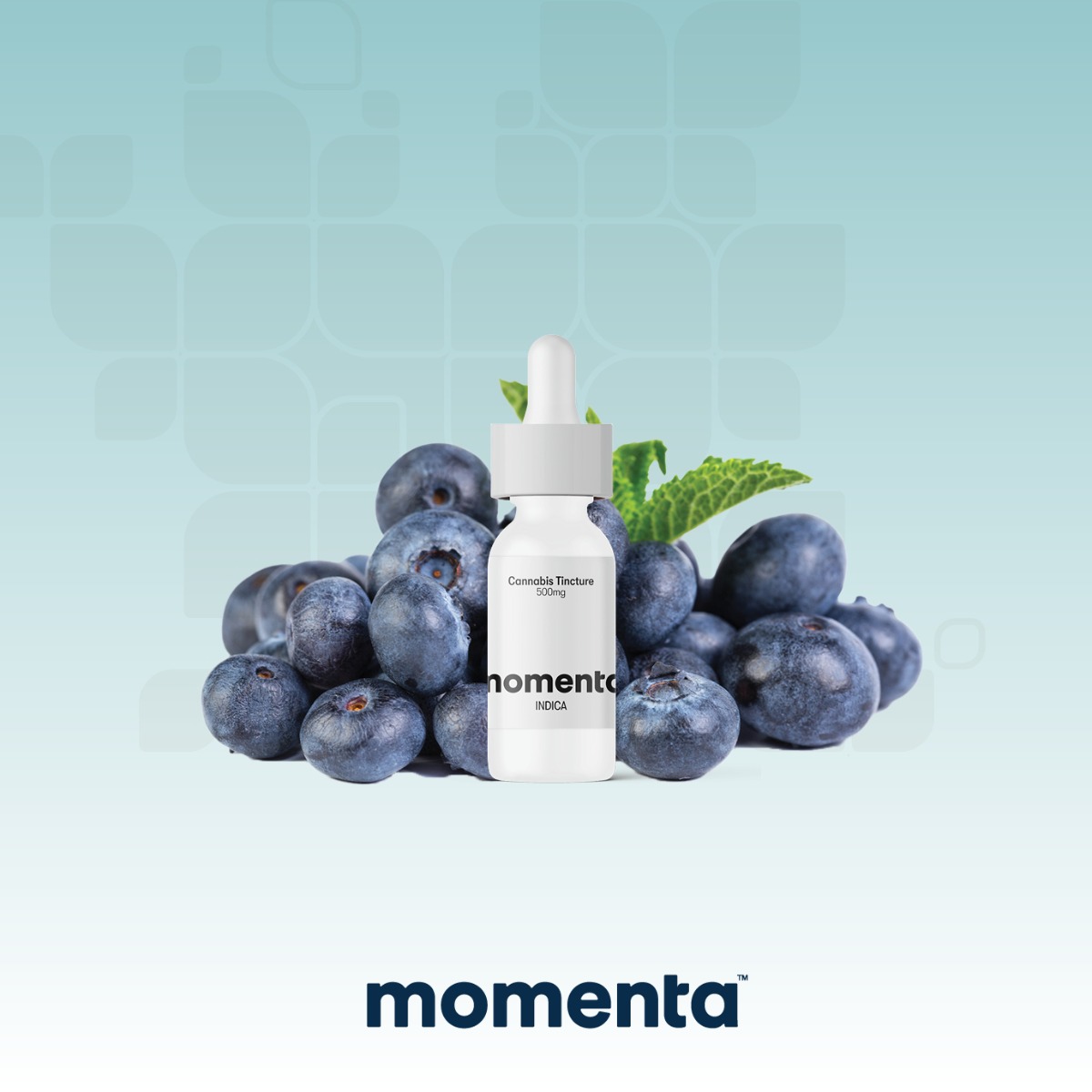 Image of Blueberry Down - Tincture 500mg