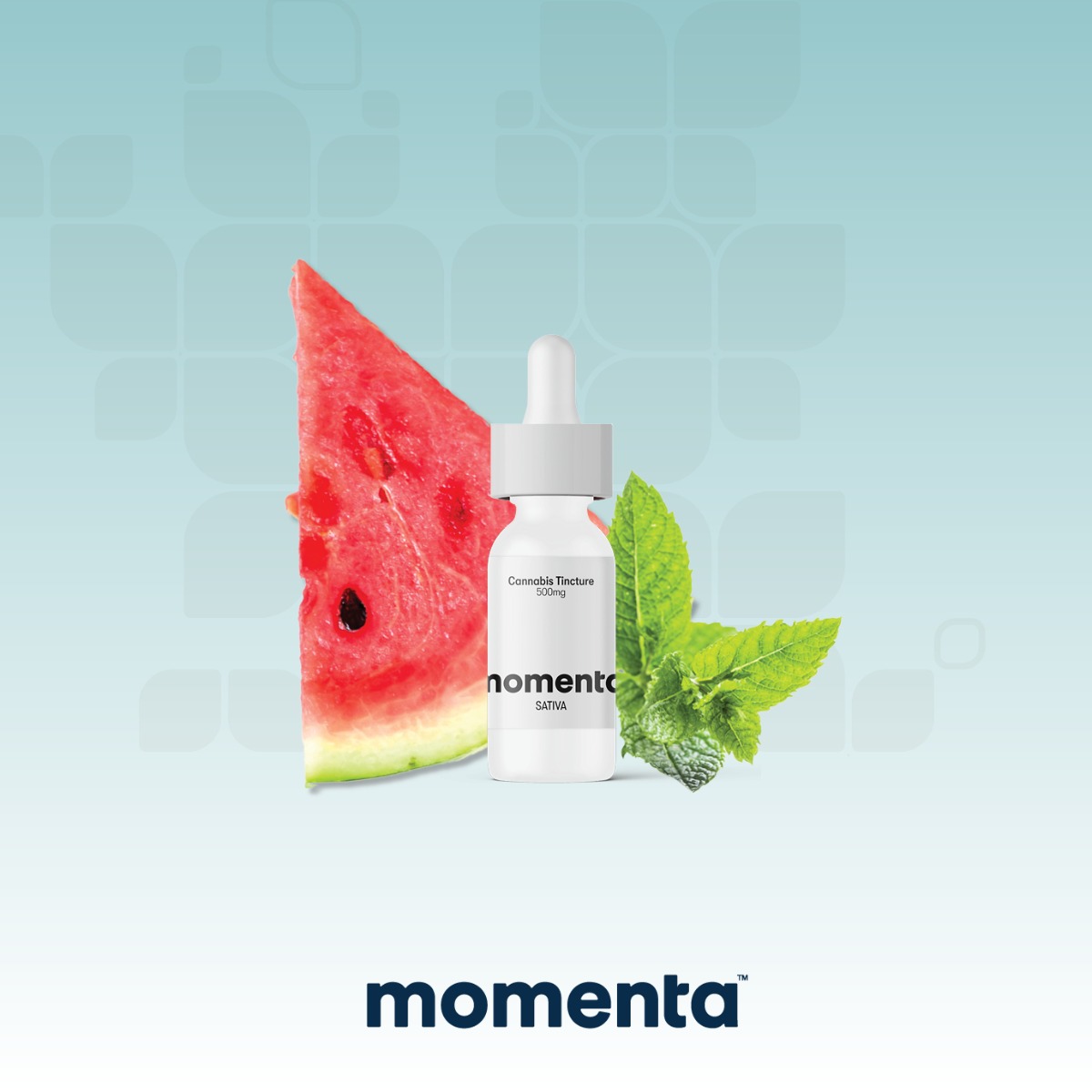 Image of Watermelon Mojit - Tincture 500mg