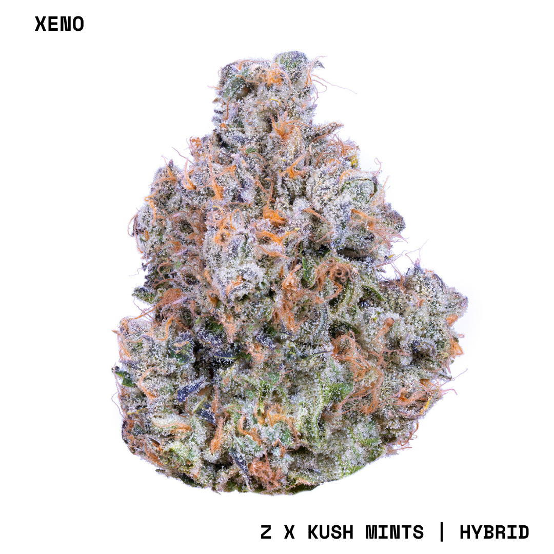 『Alien Plants』 AlienLabs Flower | Xeno | 3.5G | Florida | Trulieve