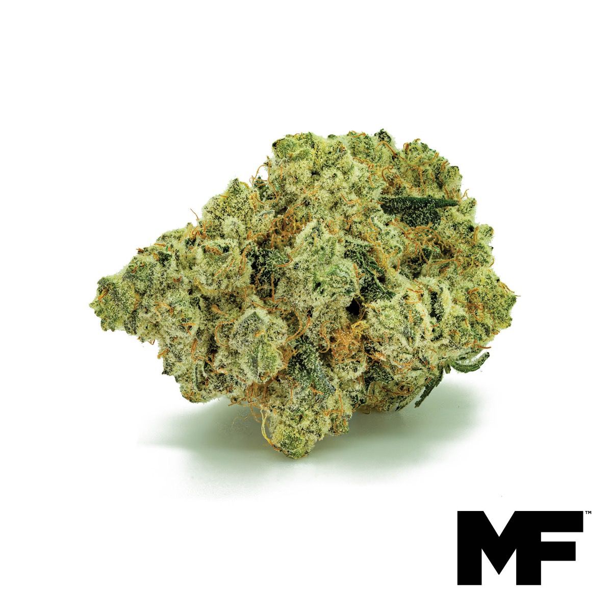 Image of Cold Feet Flower