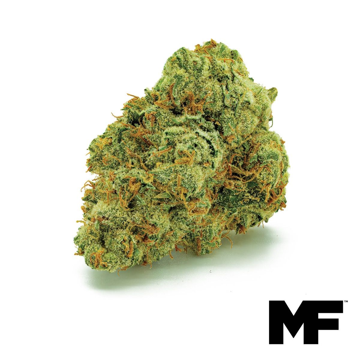 Image of Strawnana x Tropaya Flower