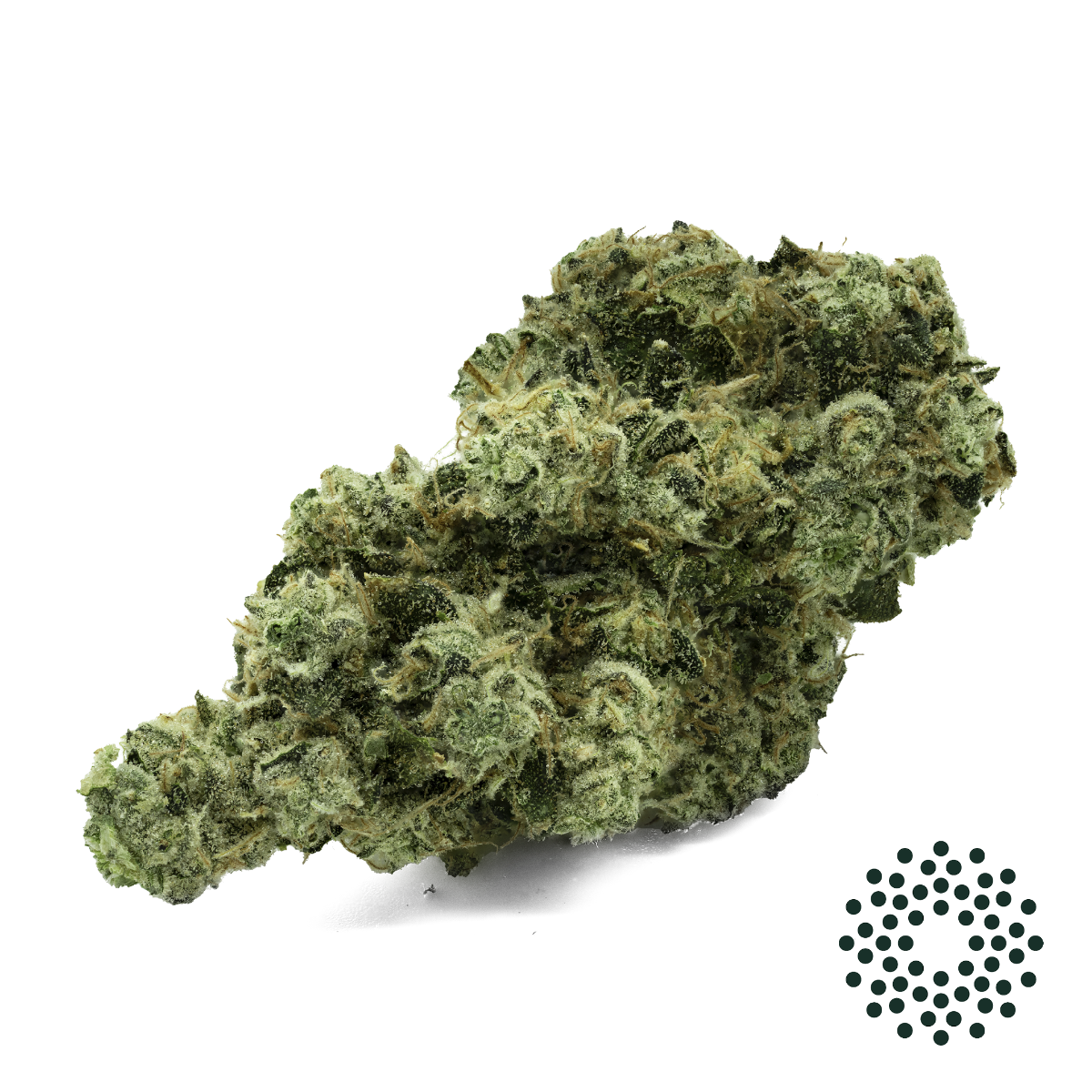 Image of St. Marks Skunk Flower