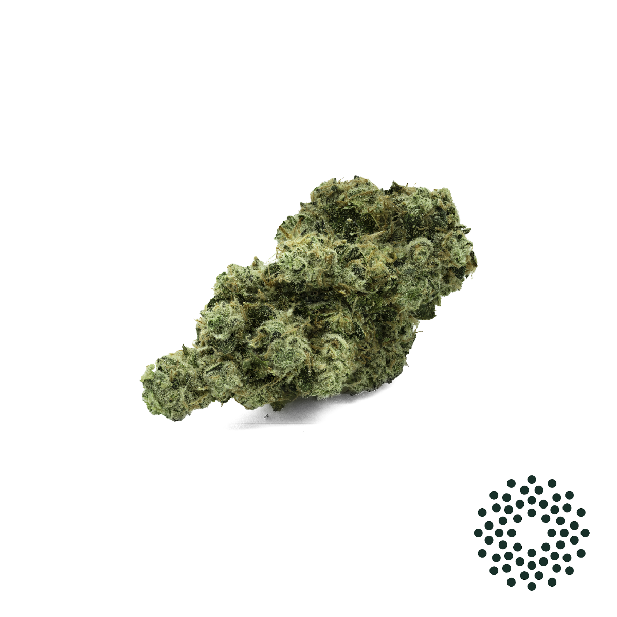 St. Marks Skunk - 