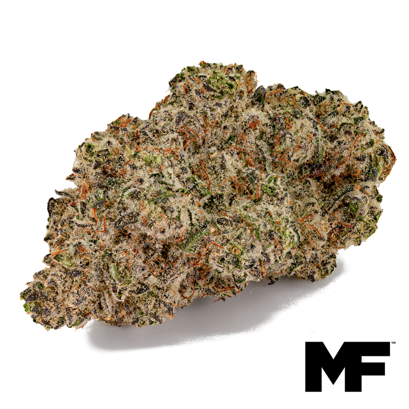 Image of High Society Flower