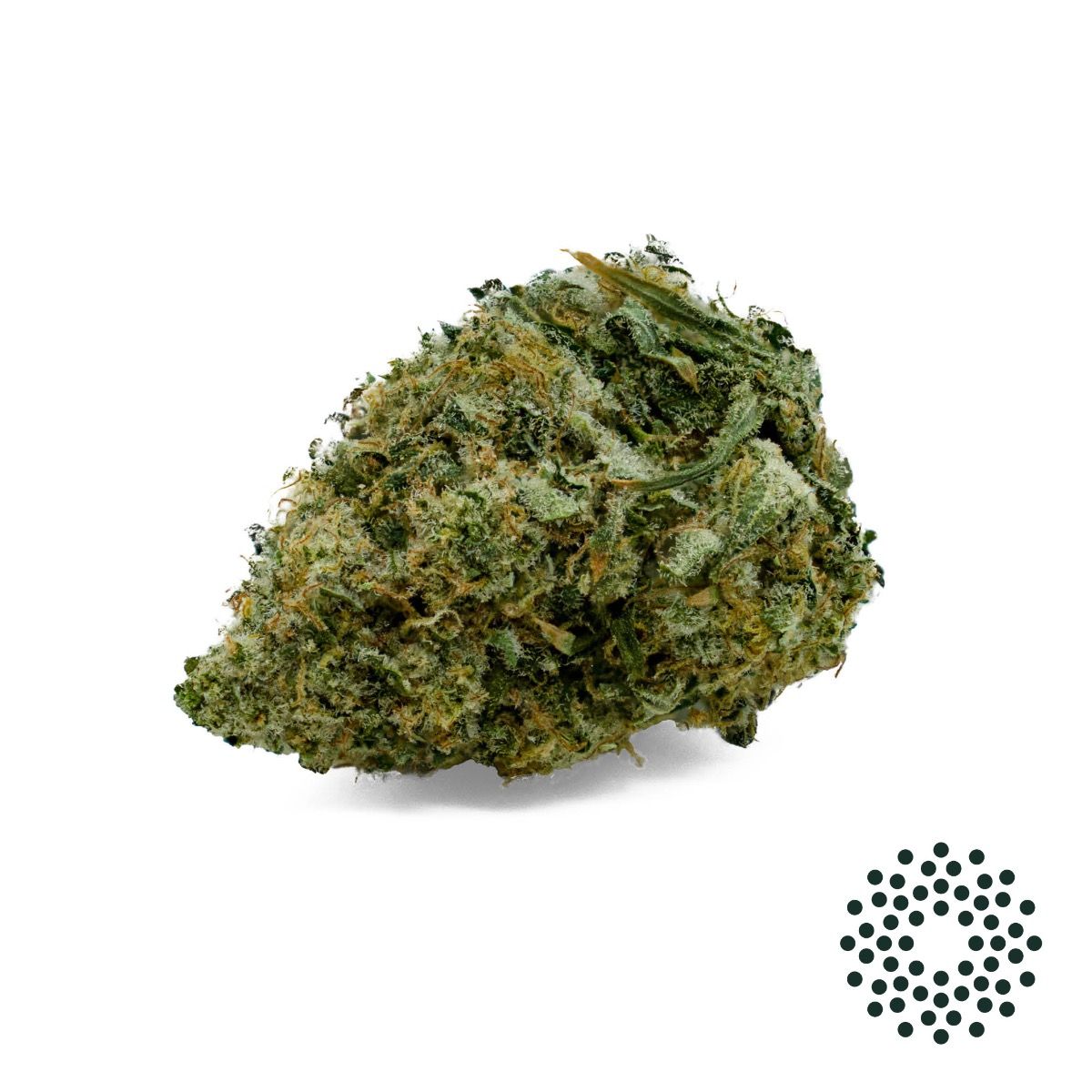 Image of Earthquake Flower