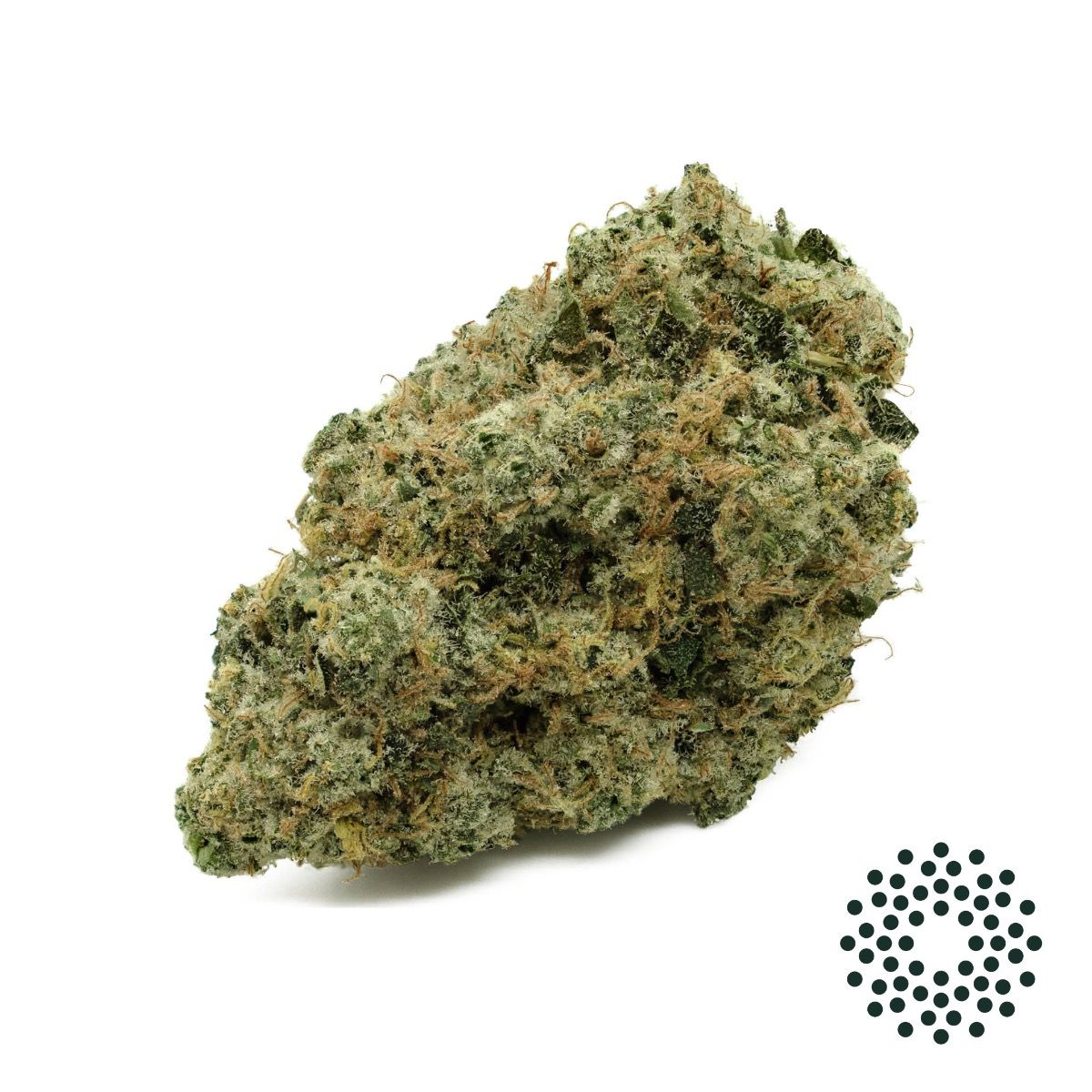 Image of Road Warrior Flower