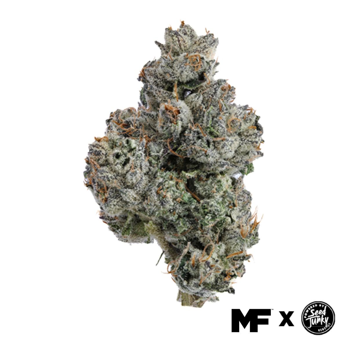 Image of Wild Cherry - Whole Flower 3.5G