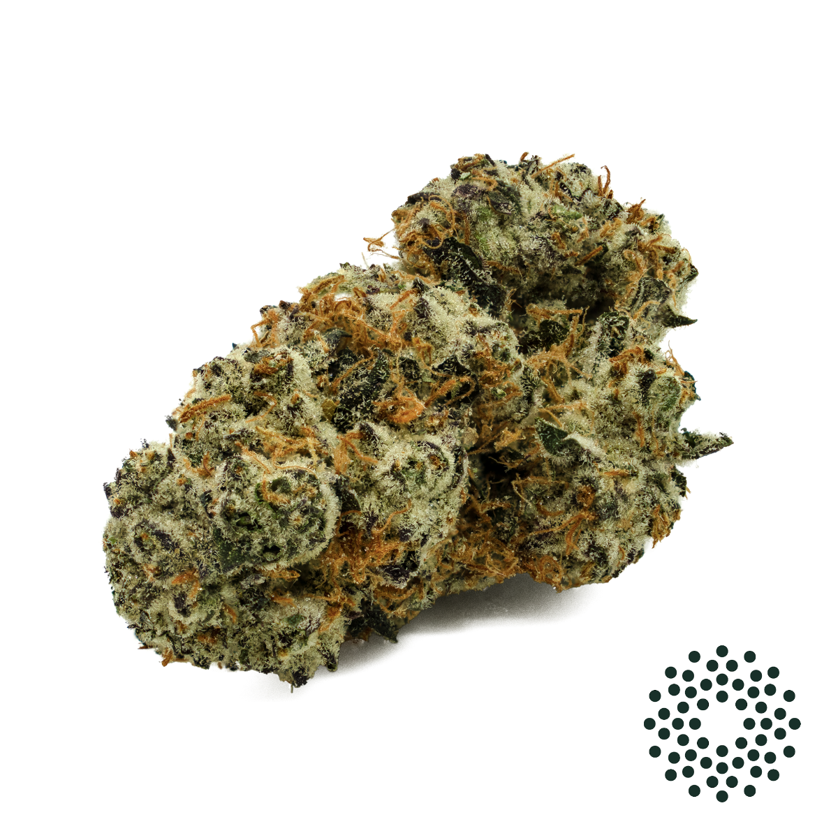 Image of Sly Look Flower