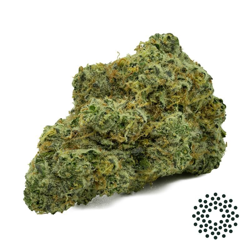 Image of Banana Pie - Whole Flower 3.5G