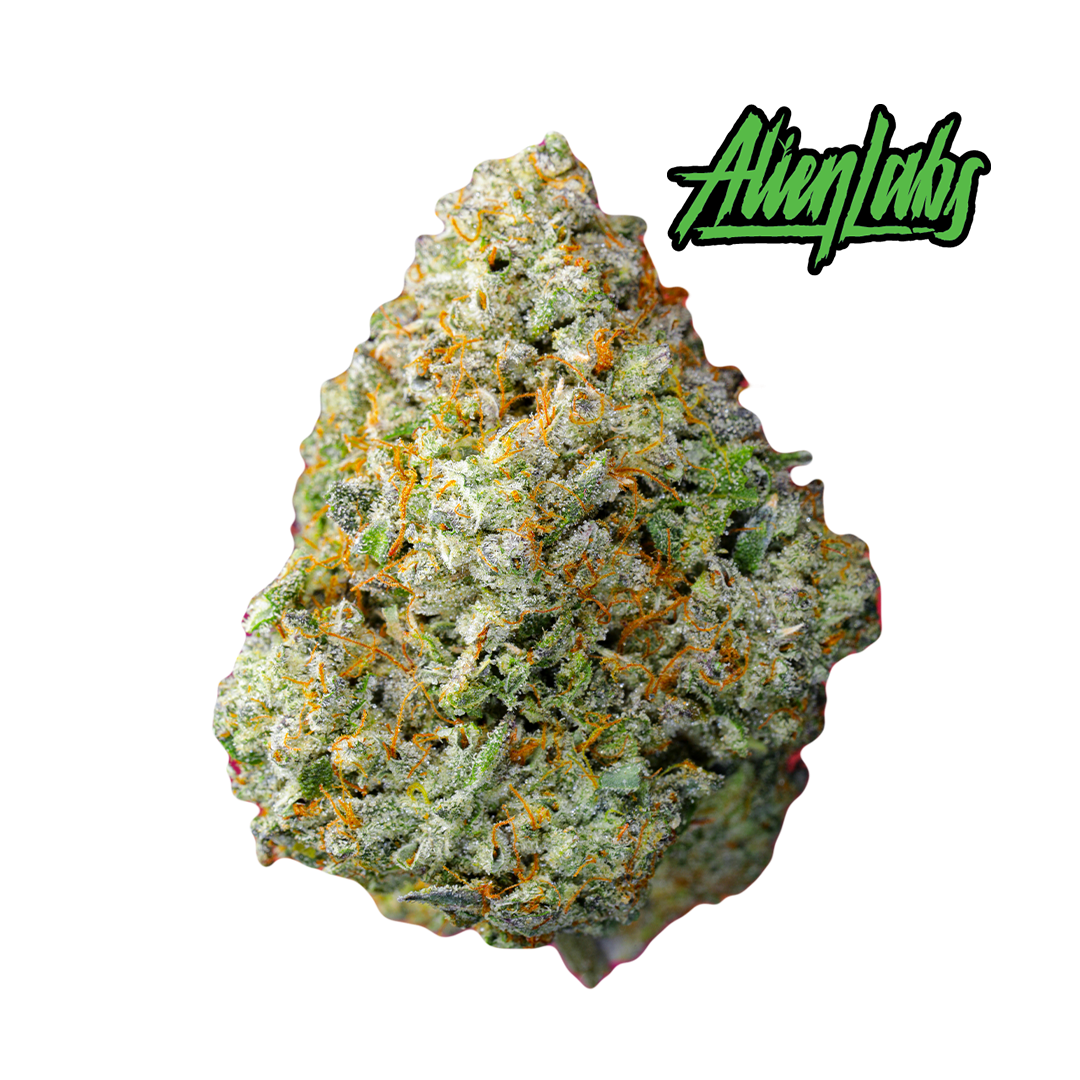 Image of Area 41 - Whole Flower 7G