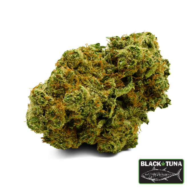 Image of Bluefin - Whole Flower 3.5G