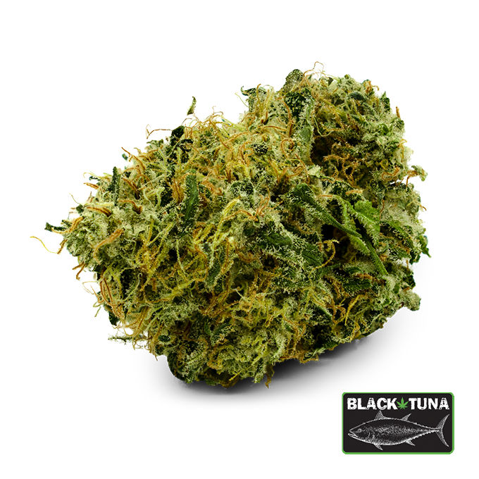 Image of Black Tuna Flower