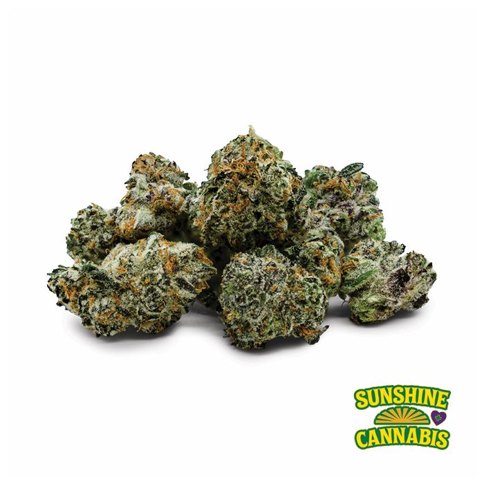 Sunshine Diesel - 