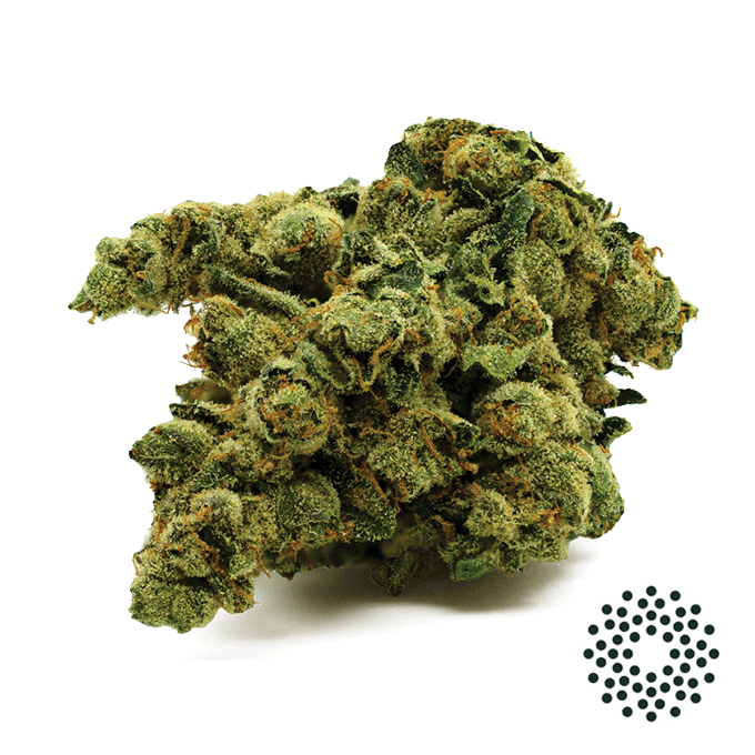 Image of Diesel Dough Flower