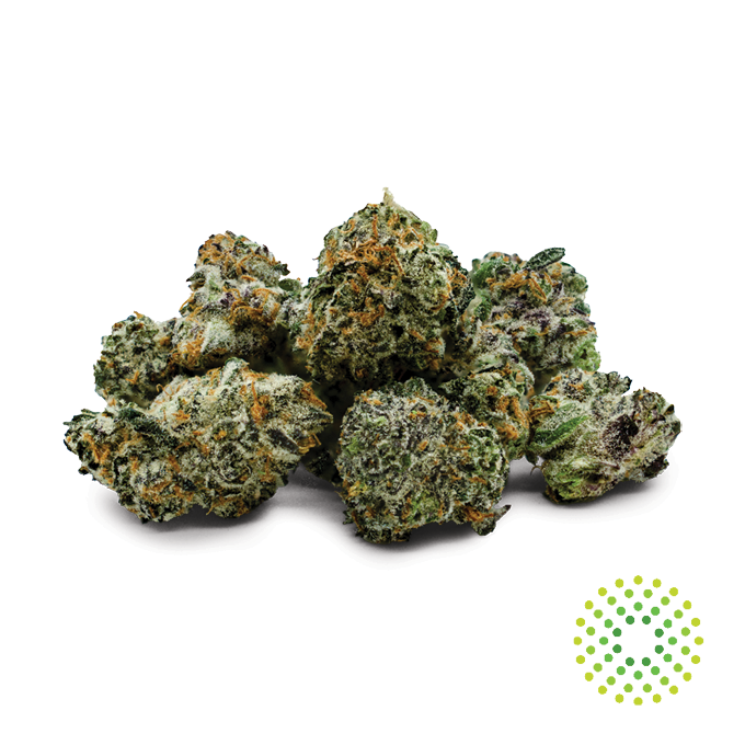 TruFlower Minis Okeechobee Orange | 3.5G | Florida Trulieve