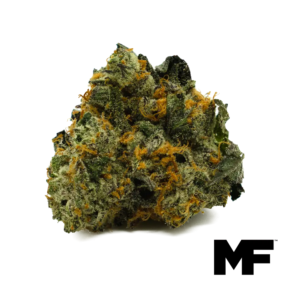 Iron Lion - Whole Flower 3.5G