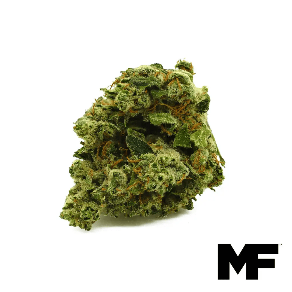 Wood Shiva - Whole Flower 3.5G