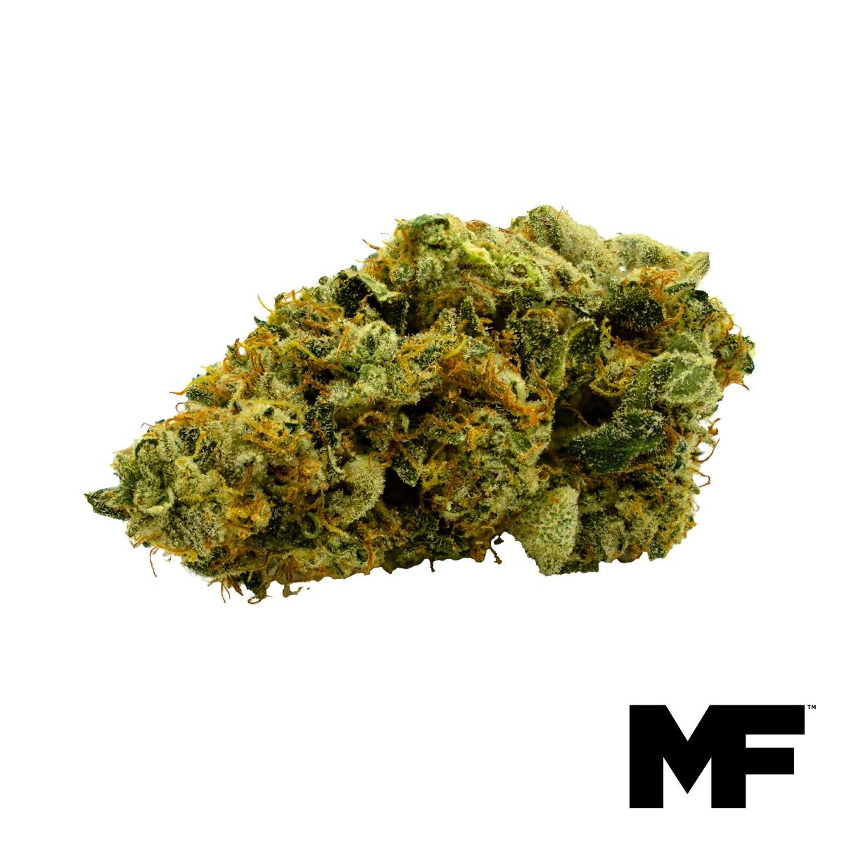 Image of Marshmallow OG Flower