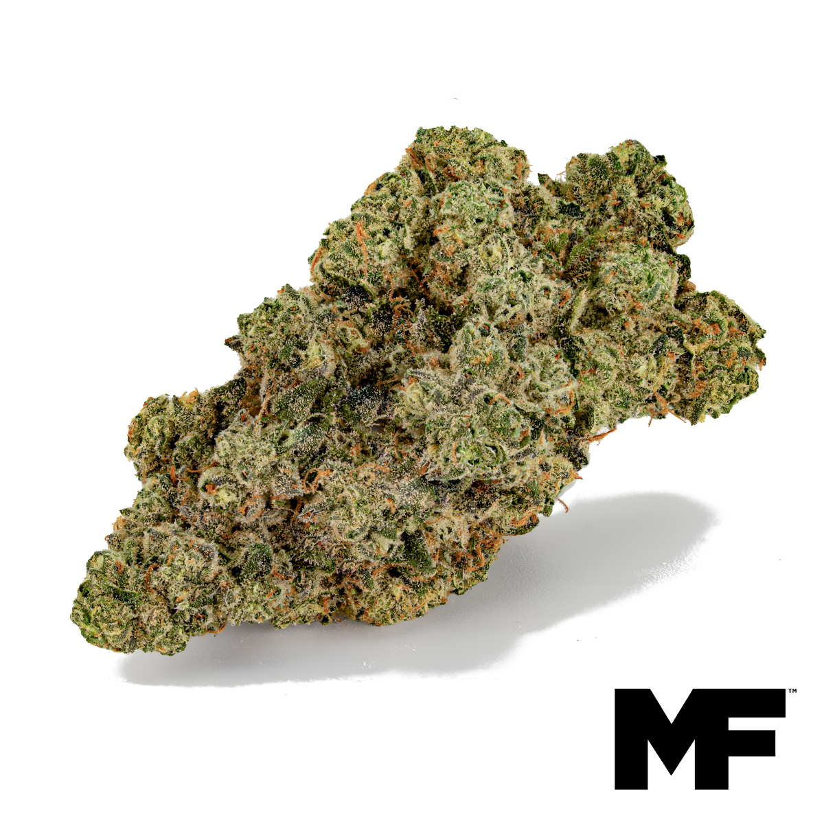 Image of Scarlet Black Flower