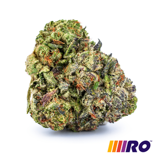 Image of Jet Fuel Gelato Flower