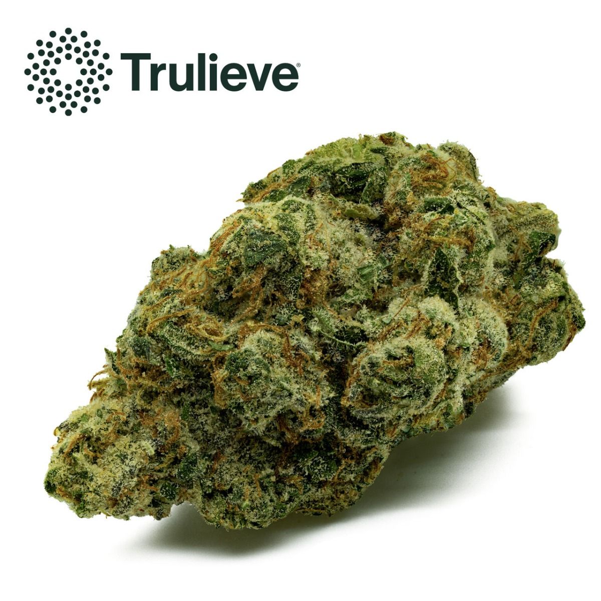 Image of Grape Gob Flower