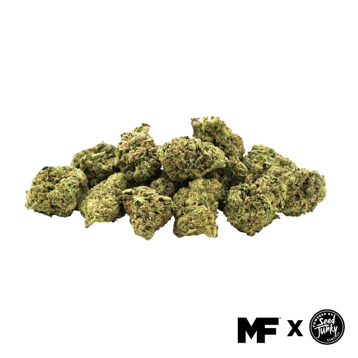 Image of Platinum Frost - Minis 3.5G