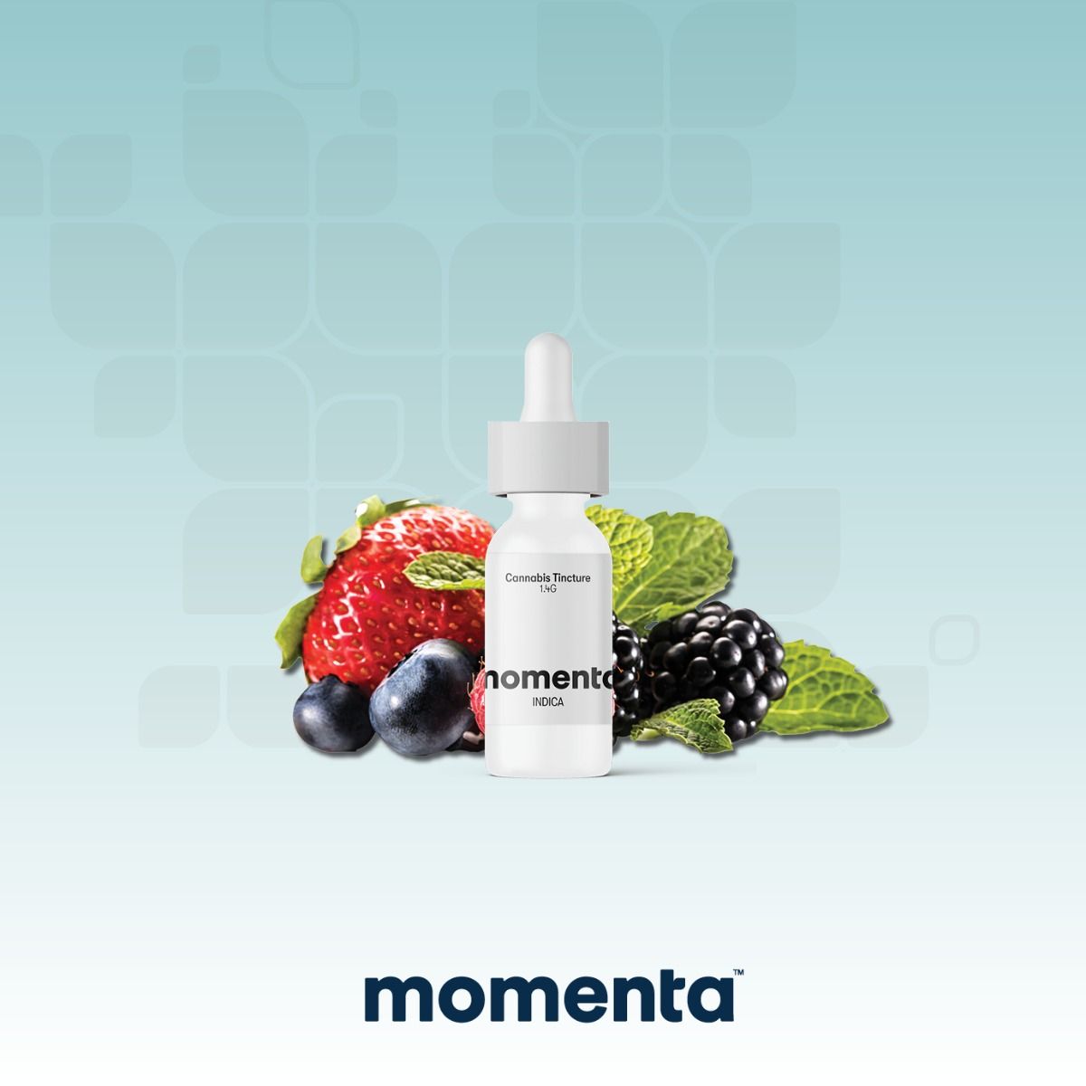 Image of Mixed Berry - Tincture Ratio 1400mg