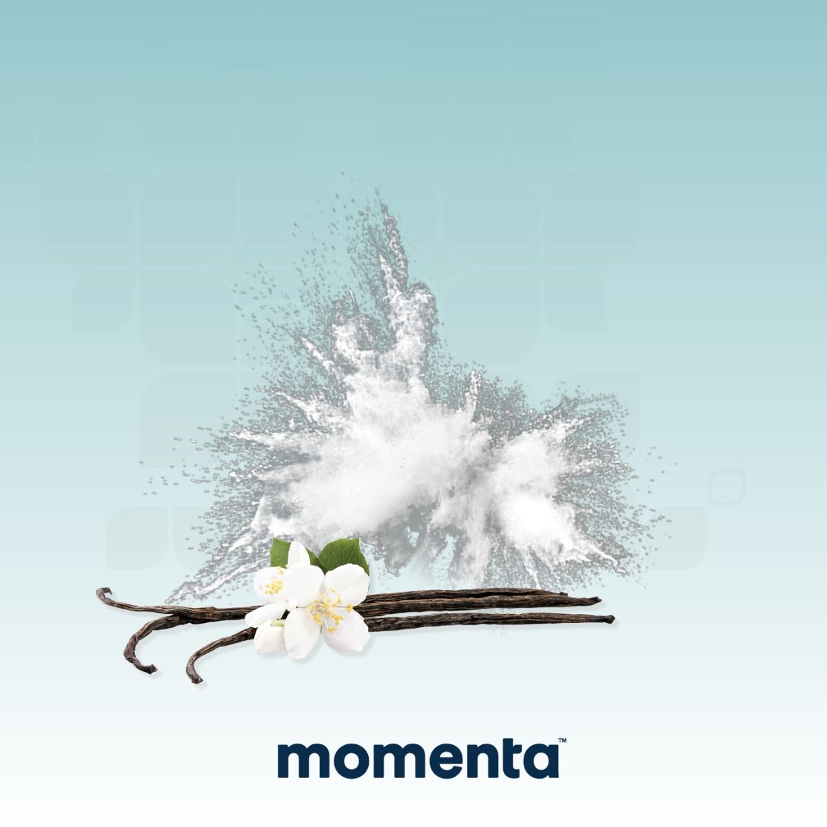 Image of Vanilla - Fast-Acting Powder 100mg