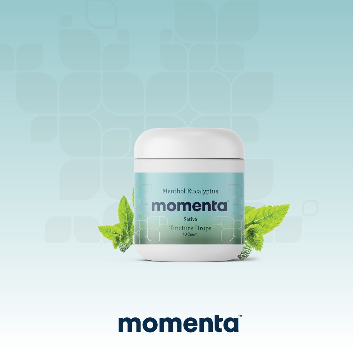 Image of Menthol Flavoring Tincture Drop Ratio