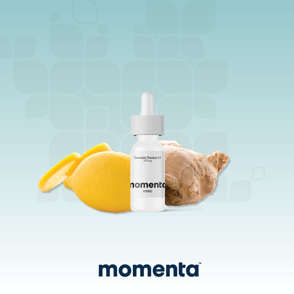 Image of Lemon Ginger - Tincture Ratio 300mg