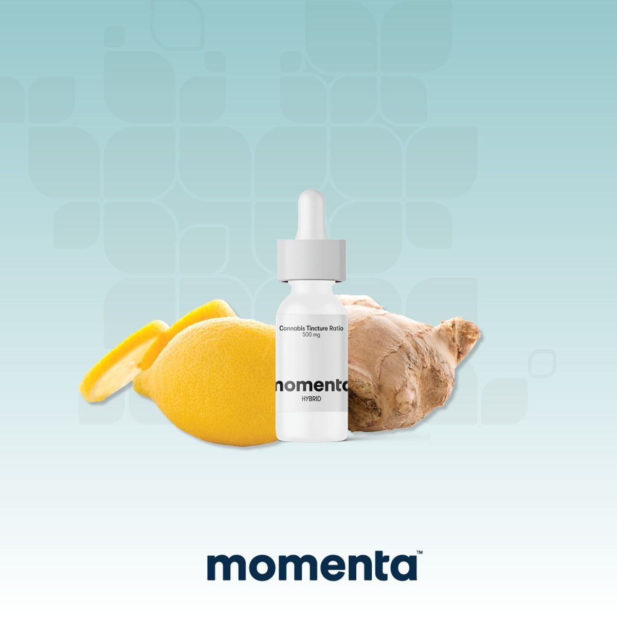 Image of Lemon Ginger - Tincture Ratio 500mg