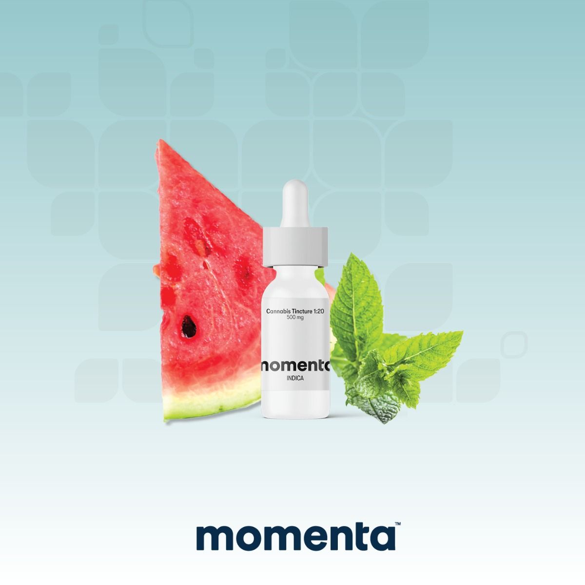 Watermelon Mint - Tincture Ratio 500mg