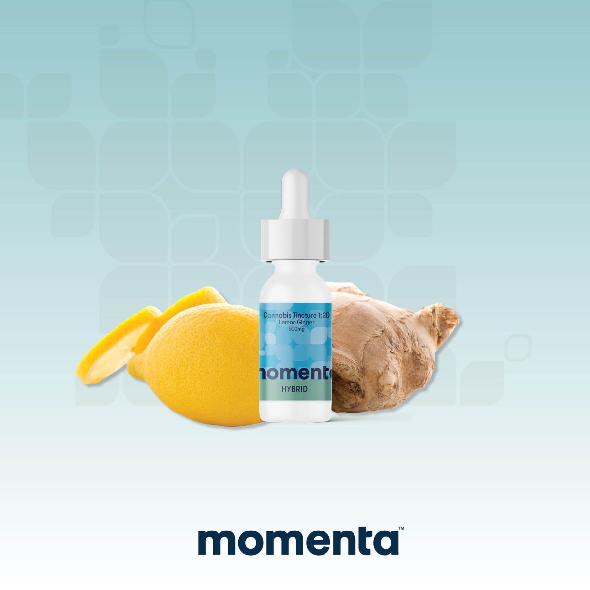 Image of Lemon Ginger Tincture Ratio