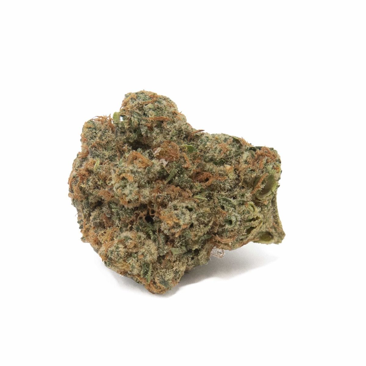 Image of Big Love Flower