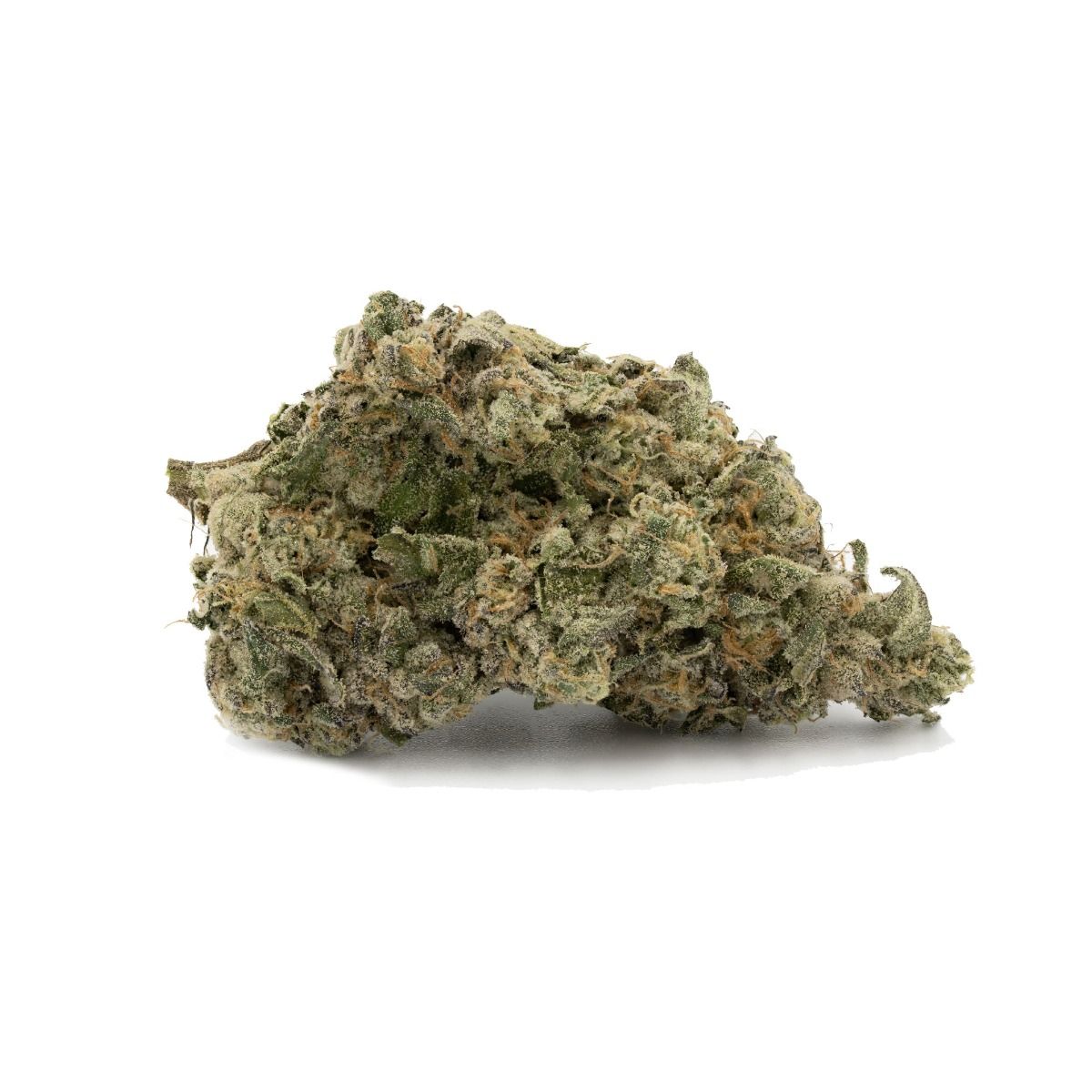 Image of Sour Papaya Flower