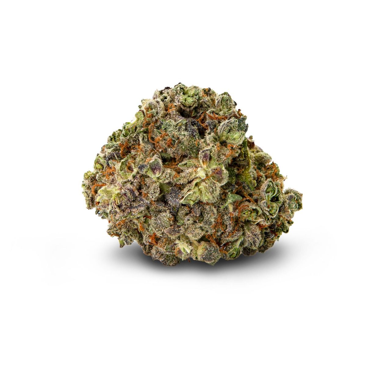 Image of Chemex Flower