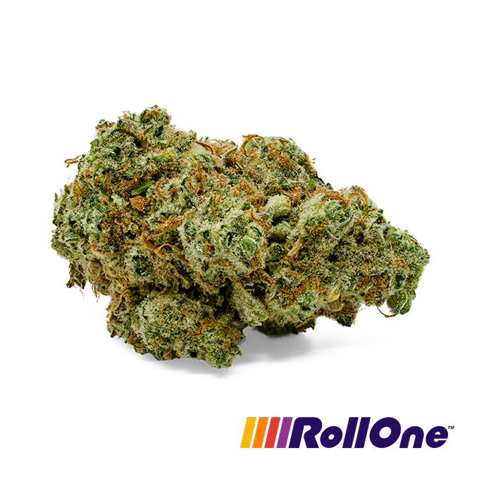 Green Wildfire - 
