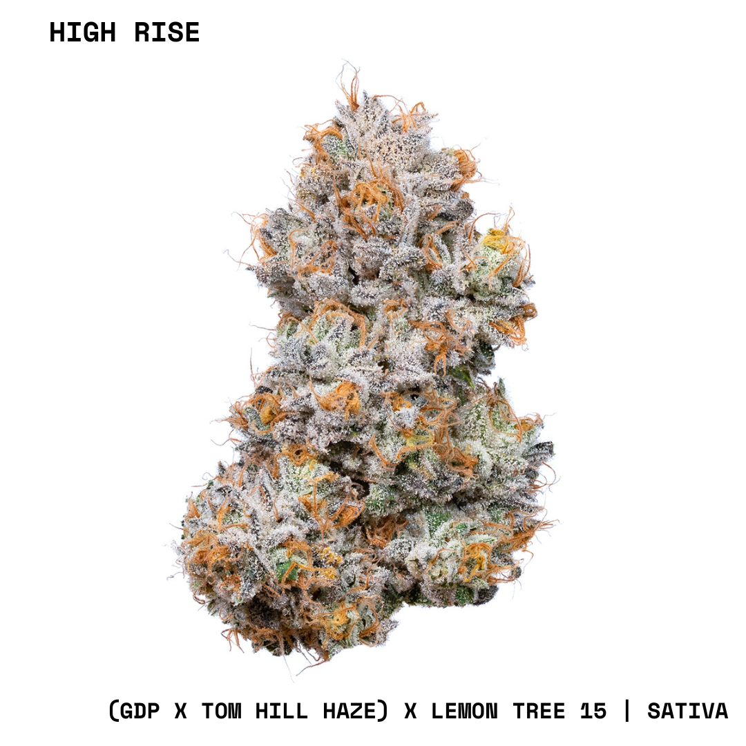 Shop CNC-BSides-7g-HighRise-S-FL Online | Trulieve