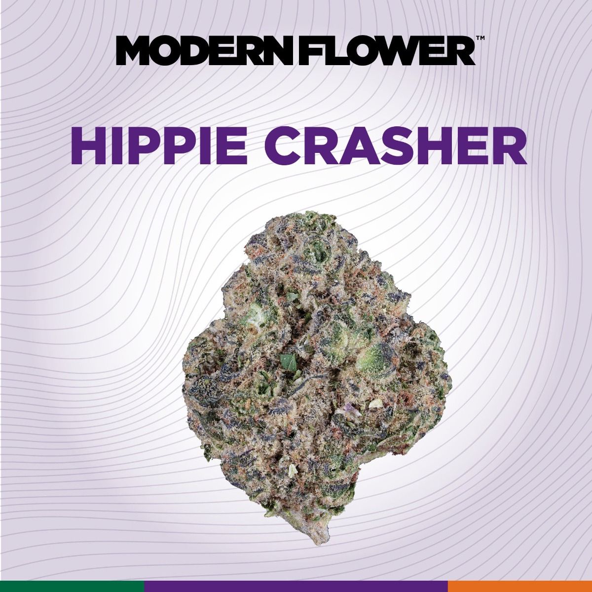 Modern Flower | Hippie Crasher | Whole Flower | Florida