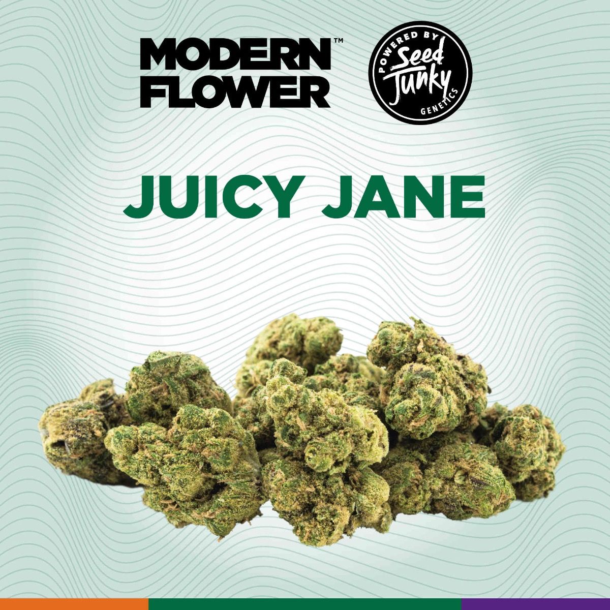 Shop MF-MINIS-3.5G-JCYJN-H-FL Online | Trulieve