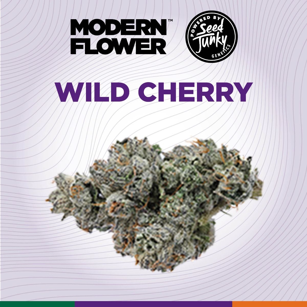 Shop MFxSJ-Flower-3.5g-WldChrry-I-FL Online | Trulieve