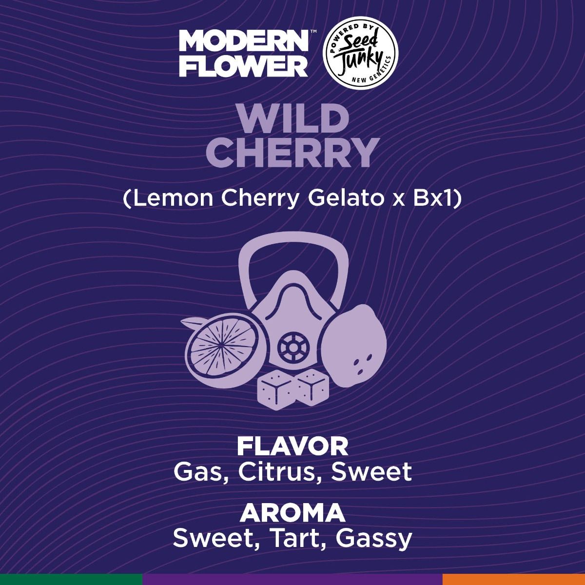 Shop MFxSJ-Flower-3.5g-WldChrry-I-FL Online | Trulieve