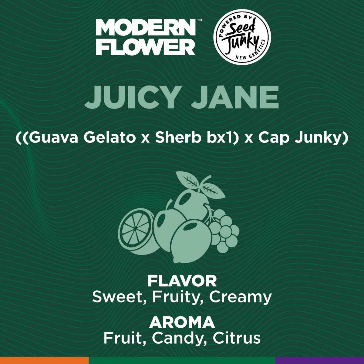 Shop MF-PREROLL-1G-JCYJN-H-FL Online | Trulieve