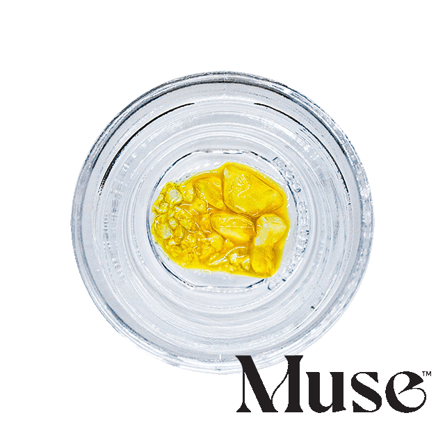 Mimosa Live Diamonds